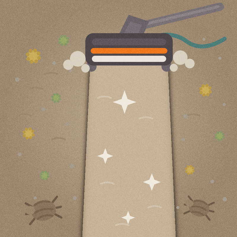 Can Carpet Cleaning Help with Allergies? What Homeowners Should Know
