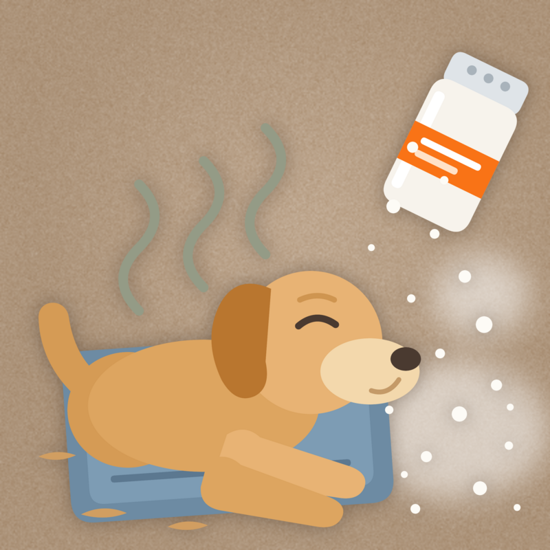 How to Get Dog Smell Out of Carpet: Proven Methods That Actually Work