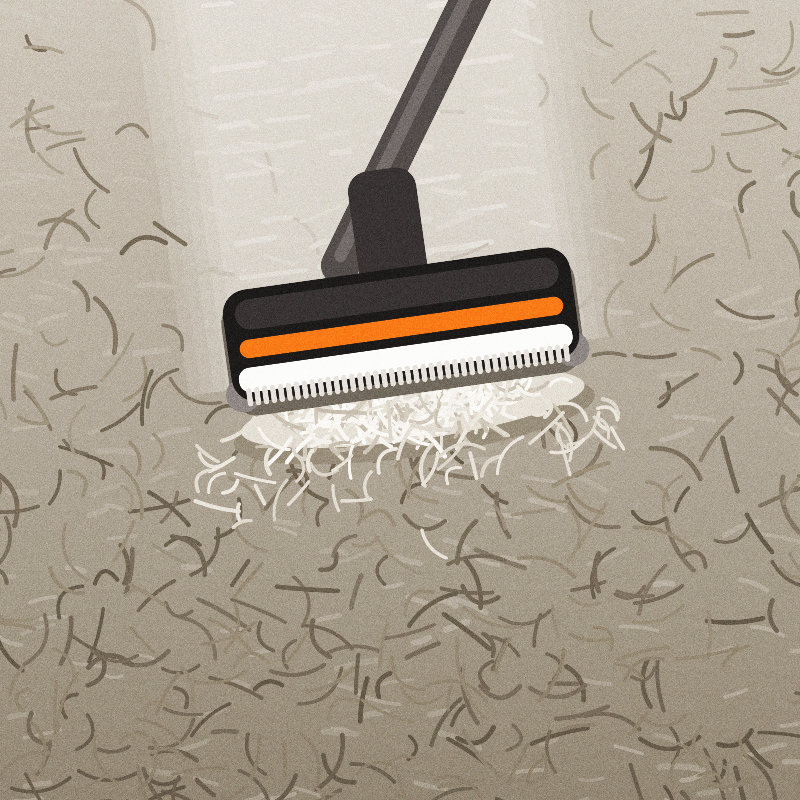 How to Remove Pet Hair Embedded Deep in Carpet