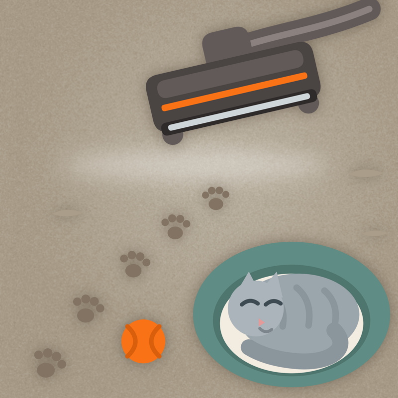 Pet-Proof Your Carpets: The Complete Guide to Carpet Cleaning for Pet Owners